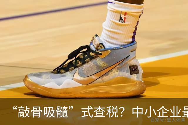 “敲骨吸髓”式查税？中小企业最怕的不是补税，而是突然翻旧账