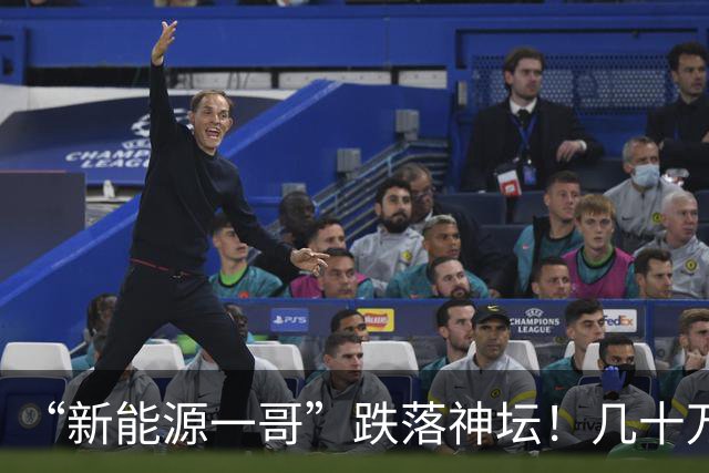 “新能源一哥”跌落神坛！几十万基民亏到怀疑人生，信任碎了一地