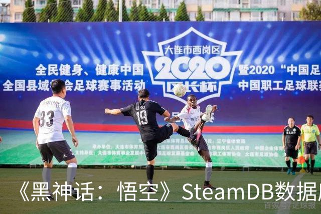 《黑神话：悟空》SteamDB数据库更新，有望加入AMD光线重建技术