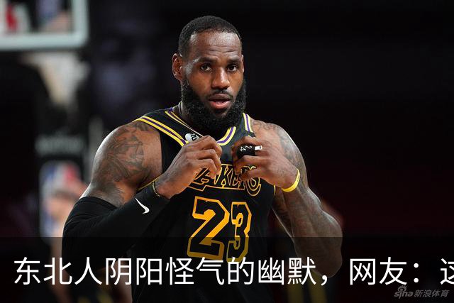 东北人阴阳怪气的幽默，网友：这形容词我一辈子都想不起来！
