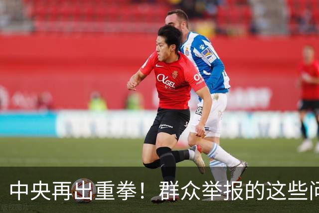 中央再出重拳！群众举报的这些问题不严查，直接追究地方领导责任