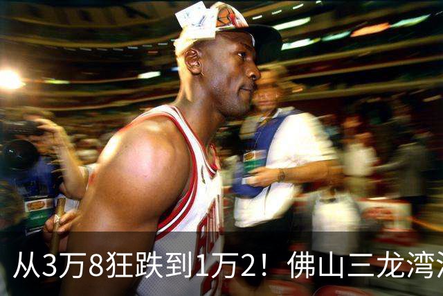 从3万8狂跌到1万2！佛山三龙湾泡沫破灭，广佛候鸟亏惨了？
