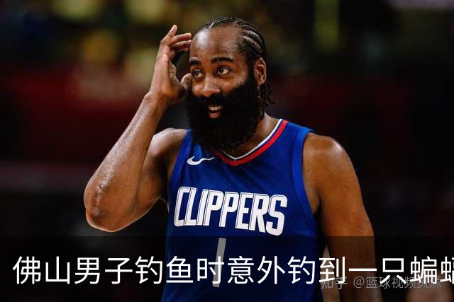 佛山男子钓鱼时意外钓到一只蝙蝠，以为是枯叶还捏了一下！医生：接触就算三级暴露…