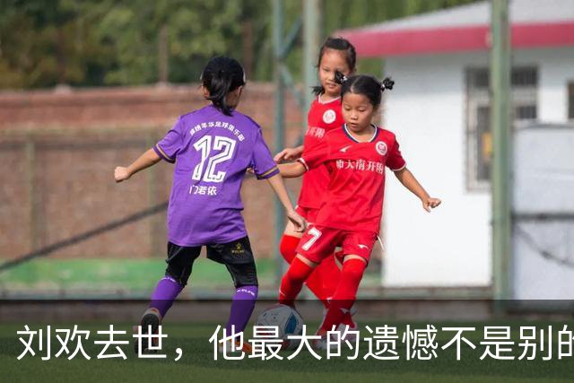 刘欢去世，他最大的遗憾不是别的，而是那个认识九天就求婚的妻子
