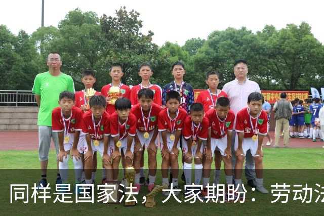 同样是国家法，大家期盼：劳动法，能不能像交通法一样刚性执行？
