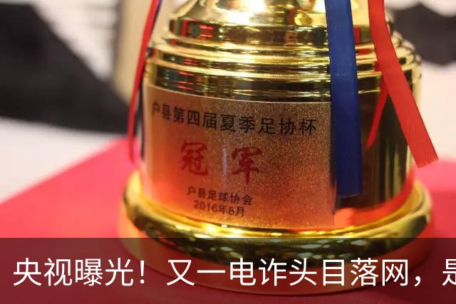 央视曝光！又一电诈头目落网，是副总司令，奢侈品成堆，豪车无数