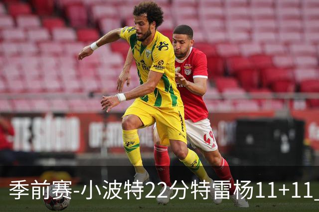 季前赛-小波特22分特雷杨11+11 篮网胜奇才