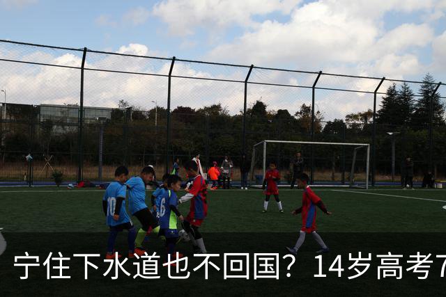 宁住下水道也不回国？14岁高考750分的天才少女，如今活成这样