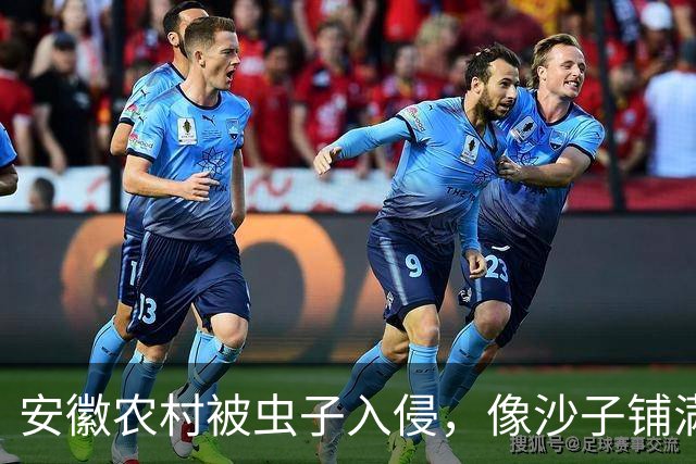 安徽农村被虫子入侵，像沙子铺满地面，多得得用铲！网友：不让烧秸秆导致的！