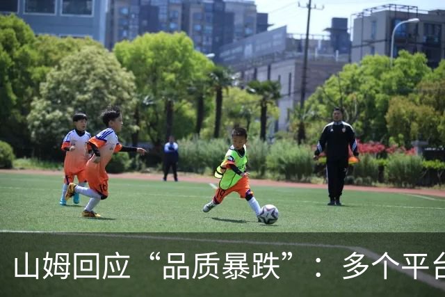 山姆回应“品质暴跌”：多个平台出现数千条恶意攻击和虚假信息，法务已固证并投诉举报