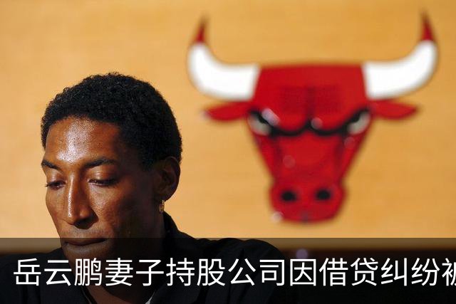 岳云鹏妻子持股公司因借贷纠纷被起诉