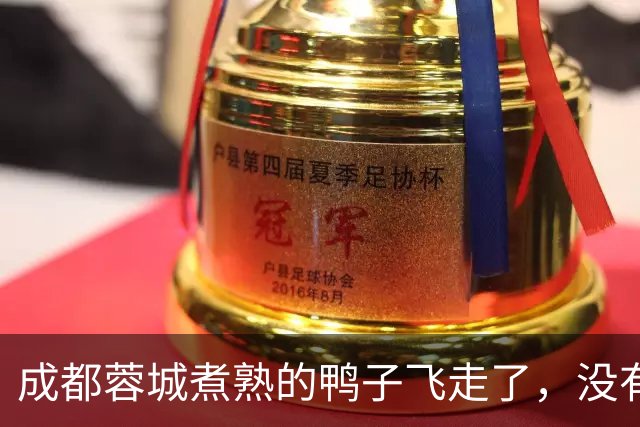 成都蓉城煮熟的鸭子飞走了，没有盯死这位津门虎锋霸，导致球队被绝杀