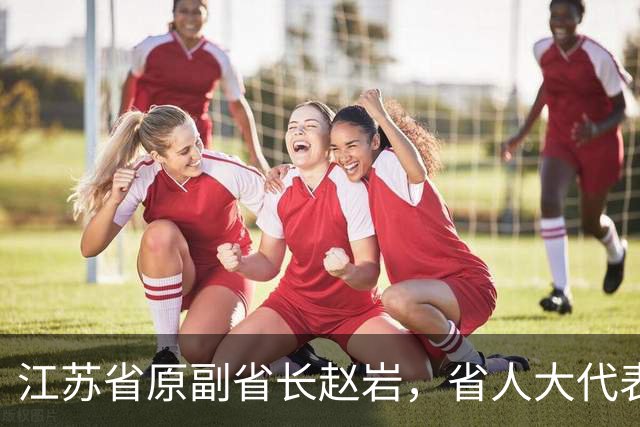 江苏省原副省长赵岩，省人大代表资格终止