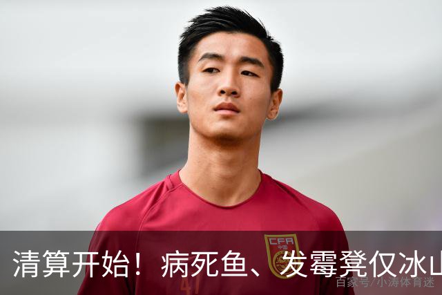 清算开始！病死鱼、发霉凳仅冰山一角，罗永浩直播间更多猛料被扒