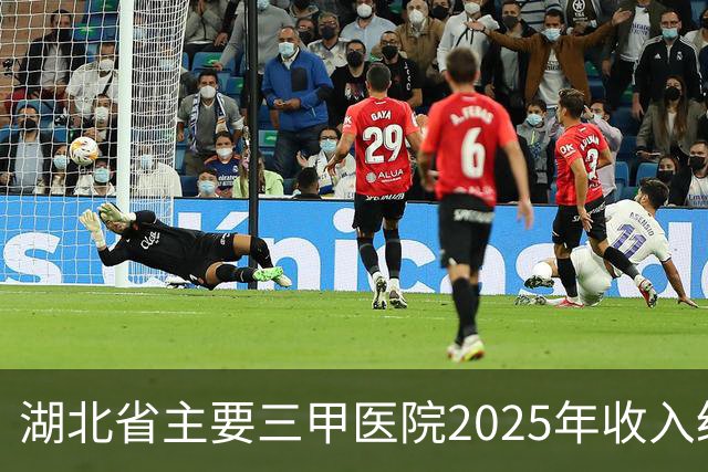 湖北省主要三甲医院2025年收入统计｜同济协和双子星稳坐一二！