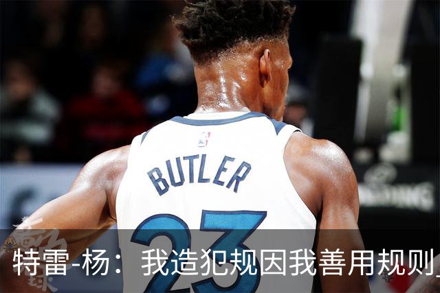 特雷-杨：我造犯规因我善用规则 确实会让对手很烦
