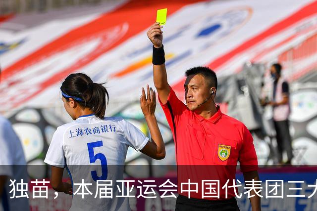 独苗，本届亚运会中国代表团三大球项目仅女排夺冠