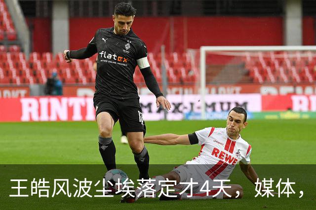 王皓风波尘埃落定才4天，媒体，“点名”，樊振东，再度让人刮目相看