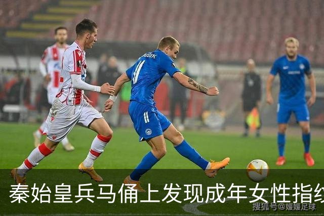 秦始皇兵马俑上发现成年女性指纹和15岁以下少年指纹，学界首次以量化的生物学证据表明，除成年男性外，女性和少年可能也参与了秦俑制作