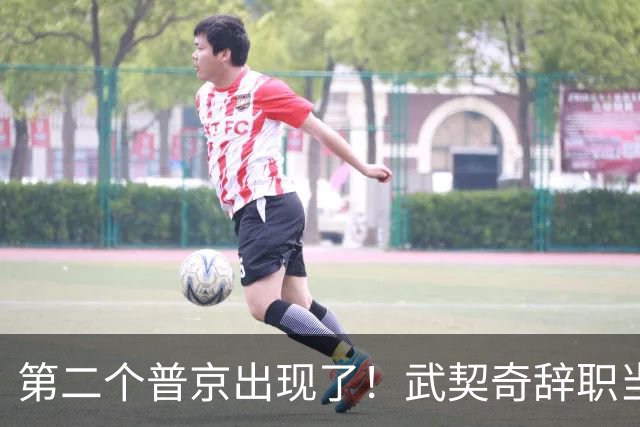 第二个普京出现了！武契奇辞职当天，两度提及中国并许下重磅承诺