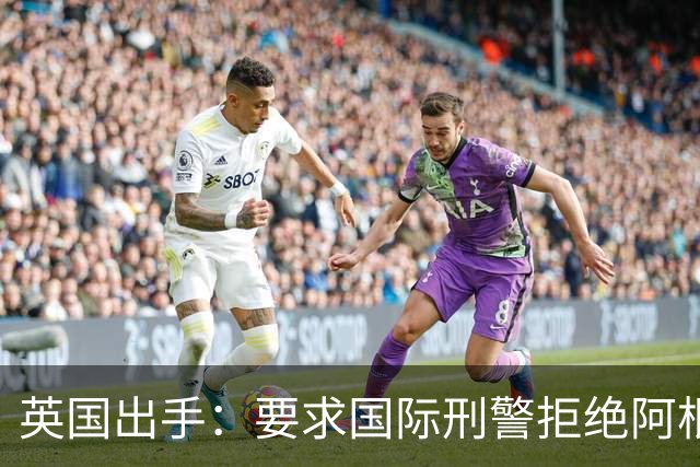 英国出手：要求国际刑警拒绝阿根廷逮捕请求