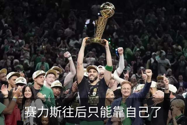 赛力斯往后只能靠自己了