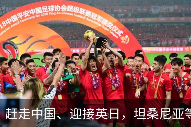 赶走中国、迎接英日，坦桑尼亚等了六年，等来了一片荒地