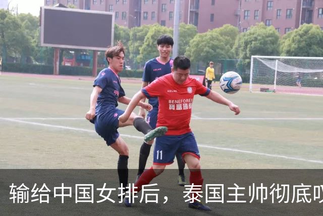 输给中国女排后，泰国主帅彻底叹服！直言短短20天进步离谱，完全意料之外！