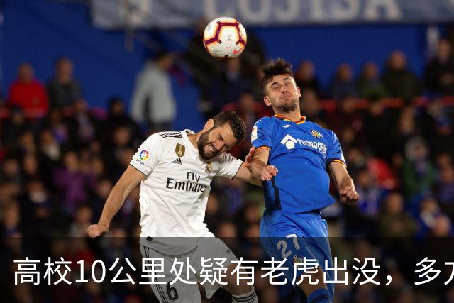 高校10公里处疑有老虎出没，多方回应