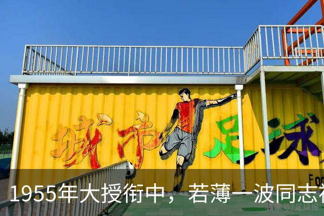 1955年大授衔中，若薄一波同志被授军衔，他适合什么级别呢？