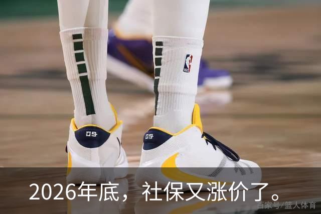 2026年底，社保又涨价了。
