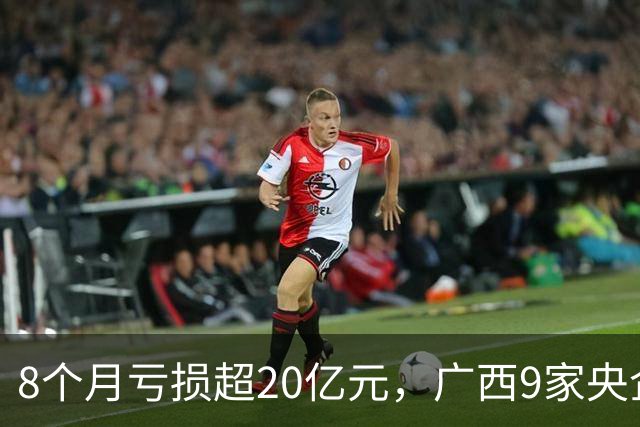 8个月亏损超20亿元，广西9家央企售电公司紧急联名求救