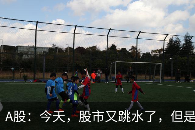 A股：今天，股市又跳水了，但是，这次情况不同了！